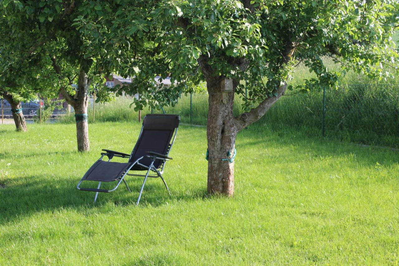 Lunzenau Ferienwohnung Am Kugelbaum מראה חיצוני תמונה